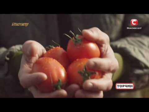 реклама кетчупа Торчин 1 СТБ ноябрь 2016