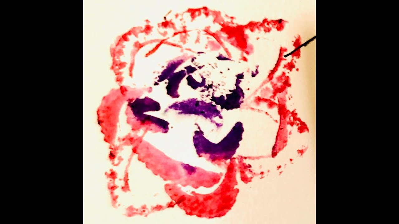 Printing with Celery to Make a Flower