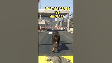 Consequence of entering the military base of gta 5 with an animal  #gta #gaming #gta5