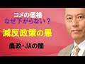 なぜ下がらないのか?コメの価格は 減反政策の愚と農政・JAの闇