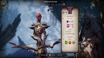 Divinity Original Sin 2- Walkthrough Part 1 (The Hold to Fort Joy)