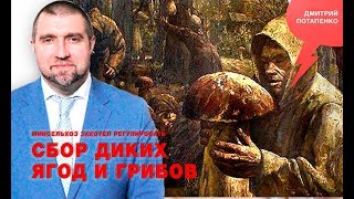 «Потапенко будит!», Минсельхоз захотел регулировать сбор диких ягод и грибов «Потапенко будит!», Минсельхоз захотел регулировать сбор диких ягод и грибов