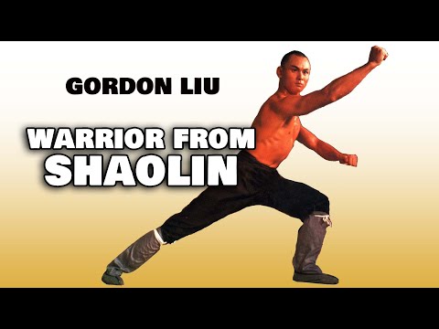 Wu Tang Collection - Warrior from Shaolin