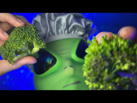 ASMR alien broccoli exploration 👽 no talking, actual camera touch, first person, lofi, relaxing 😴💚