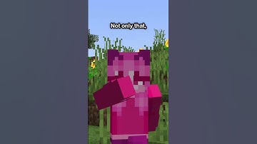 BEST Minecraft Mods For Low-end PCs!