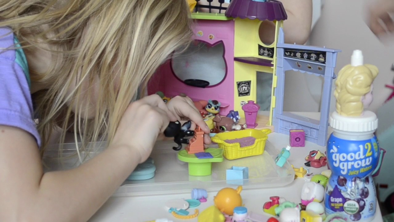 Birthday Party for Shopkins & LPS