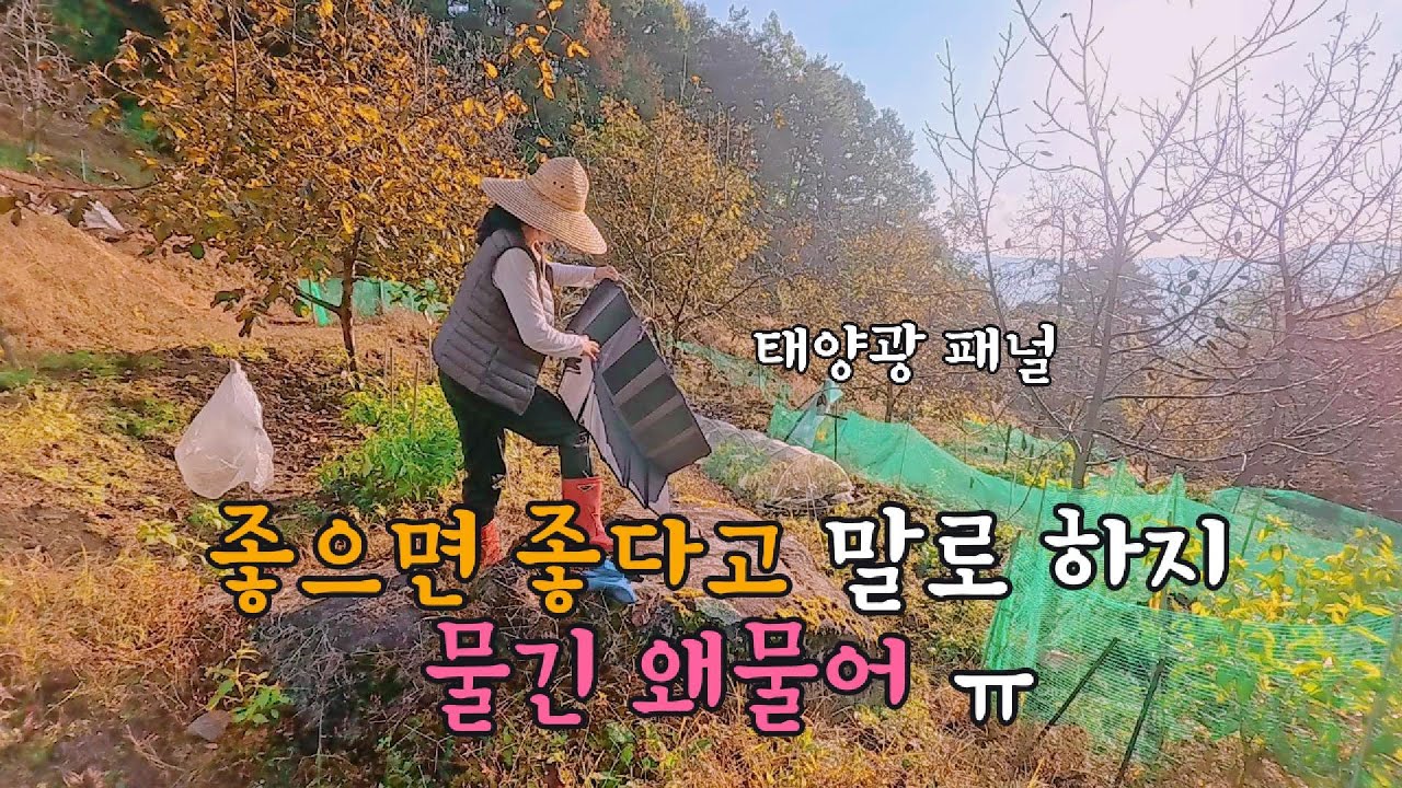 [40] Я собираюсь прожить хорошую жизнь в одном мире~ Нет, я проживу еще 50 лет