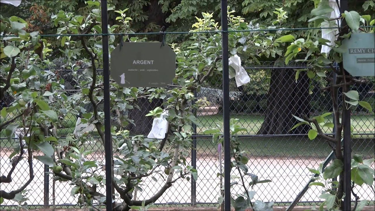 Charlotte Delbo - Prière Aux Vivants Pour Leur Pardonner D'Être Vivants