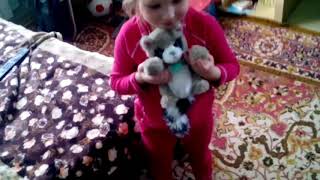 Енотик Мой Любимый