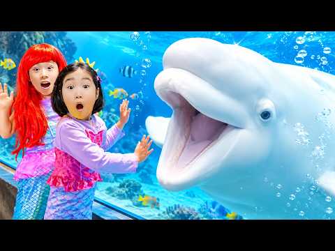 海の生き物が現実に！子どもたちが海の世界について学ぼう！| Boram Tube Play