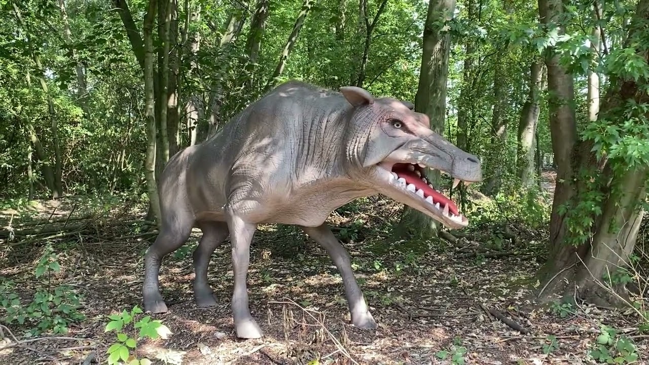 Hoo Zoo & Dinosaur World 