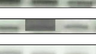 701EF6637EDC619B36BEED19904627#2