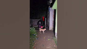Horror Creepy Things Aahat Bhoot Ghost 