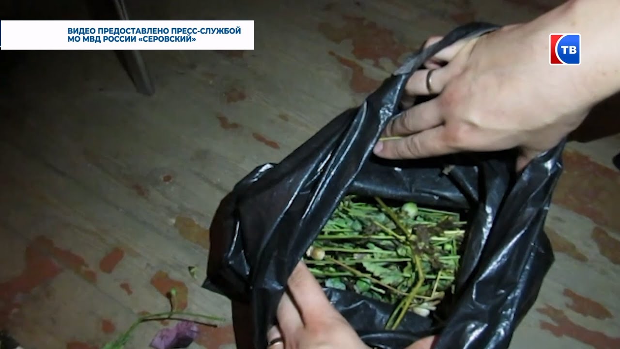 Полиция Серова призывает граждан сообщать, где торгуют «смертью» #серовтв #серов #твсеров