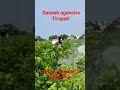 sr 450 mist blower Ganesh agencies Tirupati 7013279964