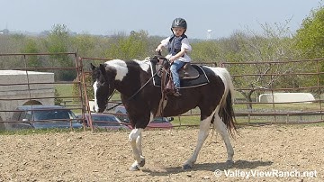 Benny***For info, price, etc., go to our website: ValleyViewRanch.net***