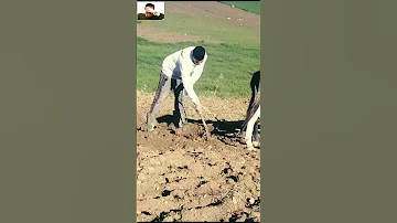 علال القدوس هههههههههههه 