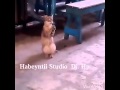ننننن 