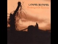 Lynyrd Skynyrd - All I Have Is a Song..wmv