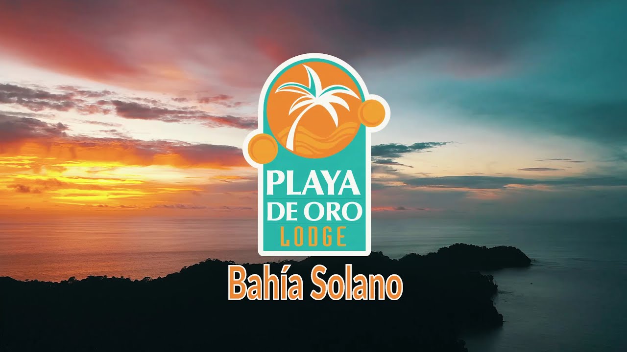 Liberación de Tortugas Bahía Solano - Almar Viajes y Turismo