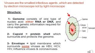 ميكروبيولوجي محاضرة (2) الفيروسات -  تمريض اسماعيلية  Viruses