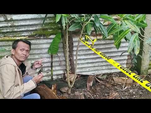 GRABE! SOBRANG NAKAKALUNGKOT NA BALITA! Sanggol (or Fetus) walang awang itinapon! GRABE! SOBRANG NAKAKALUNGKOT NA BALITA! Sanggol (or Fetus) walang awang itinapon!