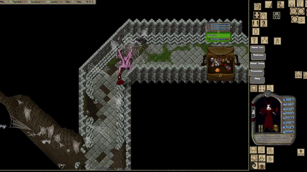 Dungeon medusa автомобиль