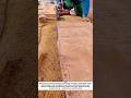 Industrial Power Planer Speeding Up Woodworking Productivity | Tool in Action!