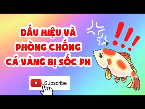 Video: Làm thế nào để giết bọ chét ngay lập tức trên một con chó