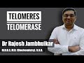 Telomeres and Telomerase