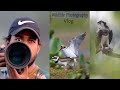 পূর্বস্থিলীর রাজা পাখি তোলার অভিজ্ঞতা  | Osprey | Wildlife Photography Vlog 38 | Wildlife Vlog #vlog