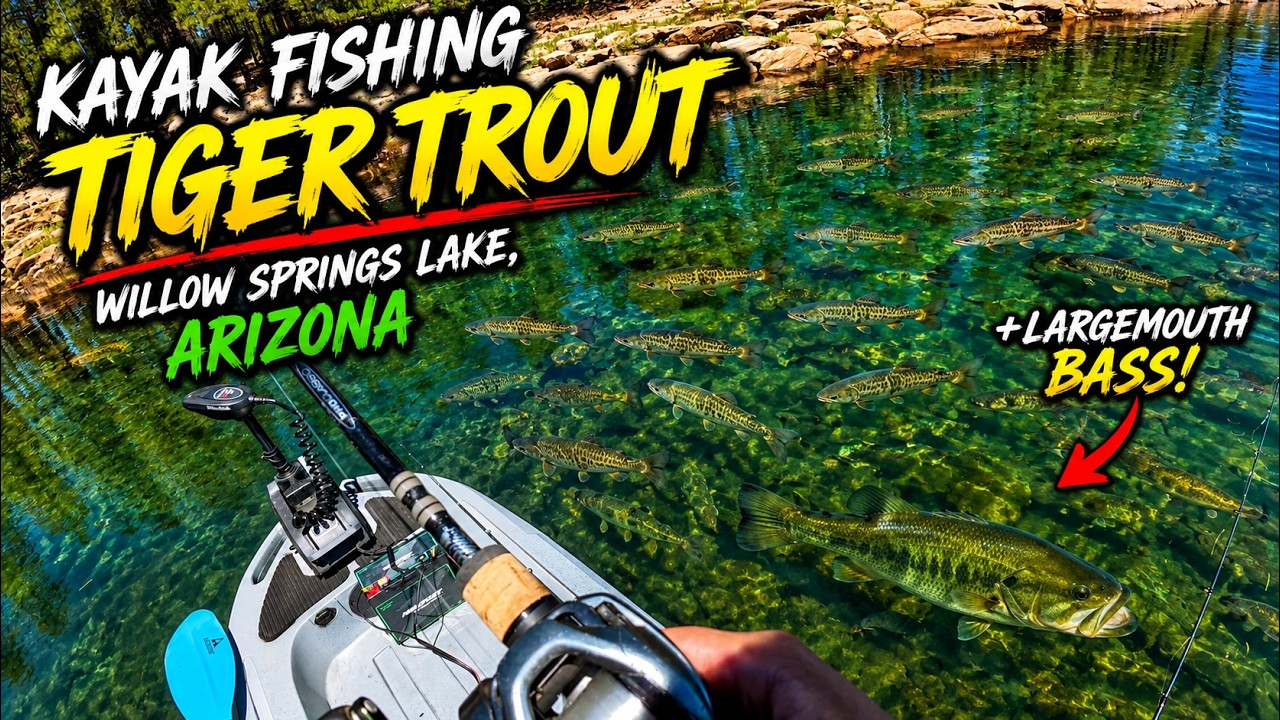 I Found TIGER TROUT in Arizona! | Kayak Fishing