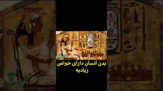 استفاده از بدن انسان مرده به عنوان دارو در مصر باستان/دانستنی های تاریخی /تاریخshort مصرتاریخ