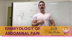 Abdominal Pain | Digestive System