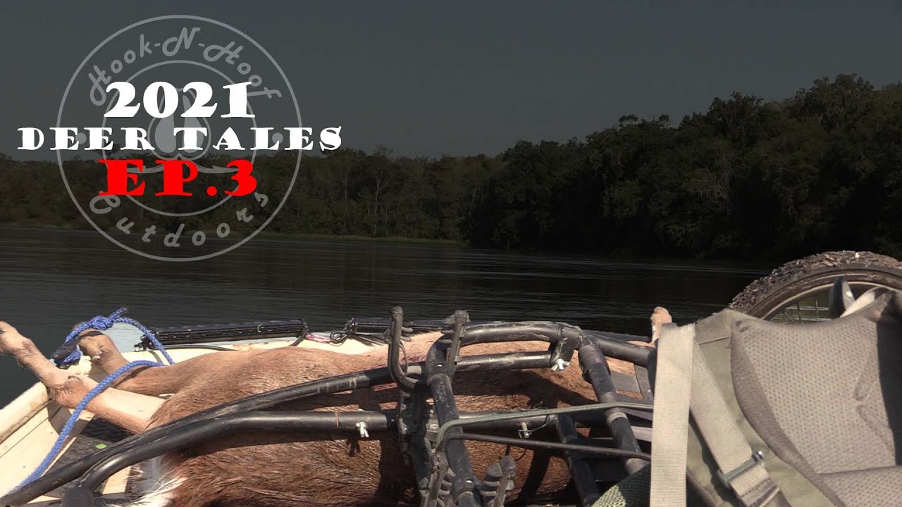 Deer Takes A Boat Ride | Georgia Public Land - YouTube