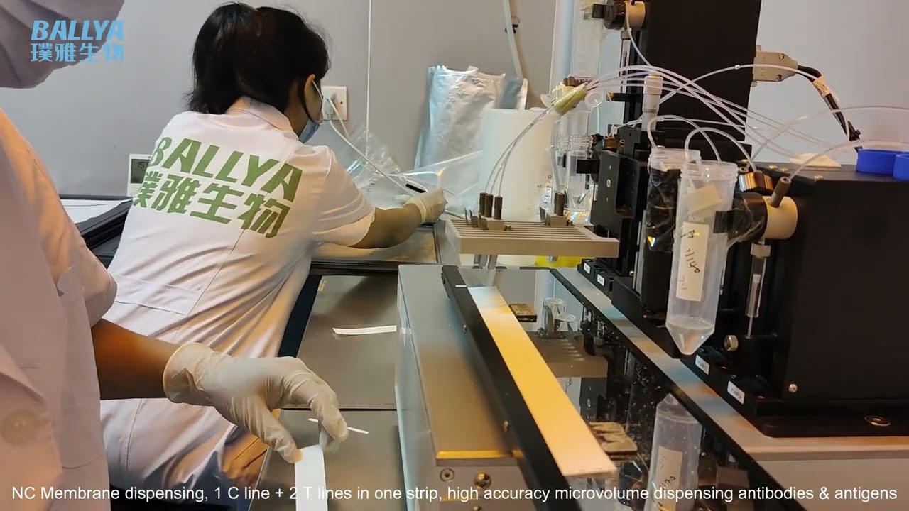 NC Membrane Dispensing For 1 C Line And 2 T Lines In One Strip-Lateral Flow Test Strip Manufacturing