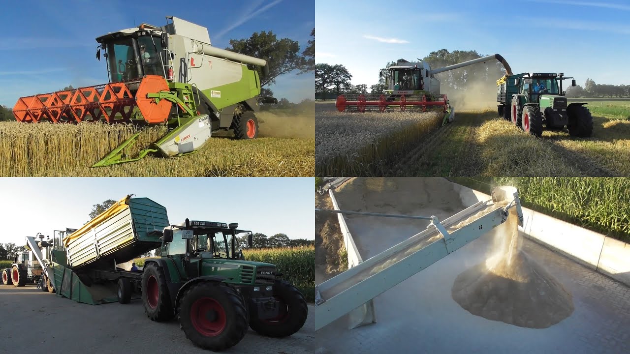 Steenweg harvesting and milling