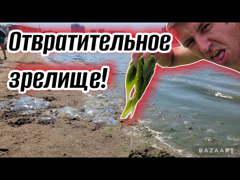 #Анапа. Что заставляет отдыхающих бежать отсюда?! (Папа с Юга)