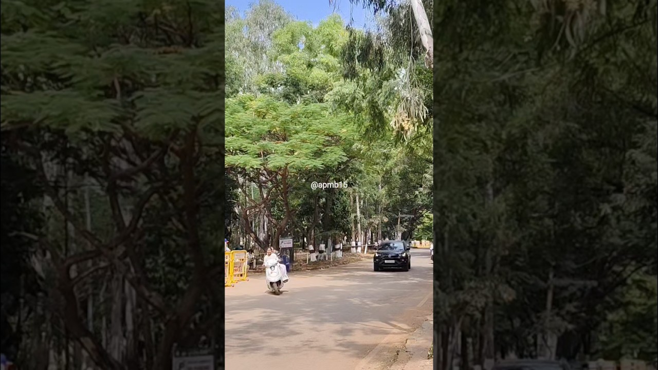 ಕೃಷಿ ಮೇಳ 2025-6 | Dança Zip Dance Performance | Bengaluru Agri Mela Highlights 