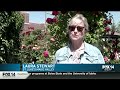 Fit and Well: Rose garden | KMVT