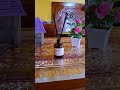 pengharum ruangan red diffuser Jasmine #pengharumruangan #pewangiruangan #reddiffuser