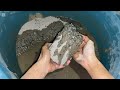 Grey Concrete Beach Sand ⏳ Dry/ Water Crumbling in Tub 🌟