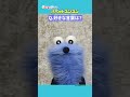 ＃パペットスンスン がハマっているダンスを披露♪ ～30問30答に挑戦～