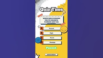 QUIZ TIME 007: Ultimate General knowledge Challenge! #quiz #quiztime #quizgames #quizzes #trivia