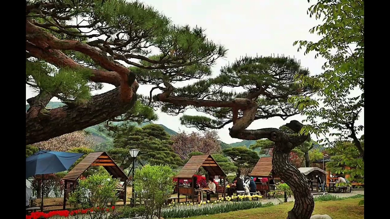 남양주  베이커리 씨어터 소나무