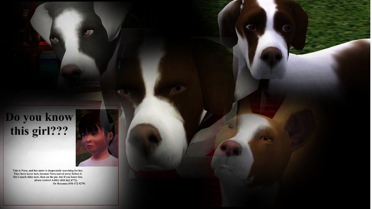 Life of a Dog Part 11 Sims 3 Dog Story YouTube