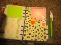 Updated Filofax Setup- Personal Domino- January 2014