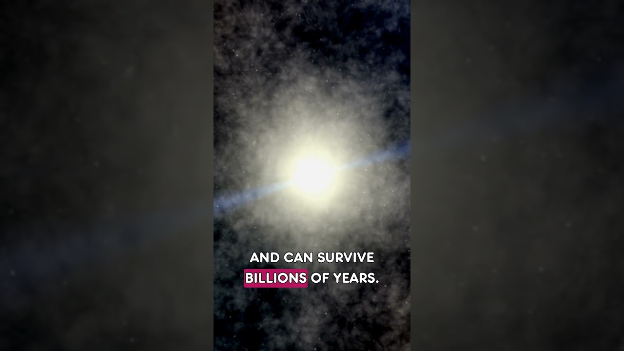 ⚡ Звезда, которая погасла… и продолжала тикать.