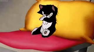 Laughing gifs