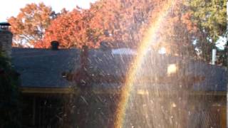 Its a Circular Rainbow!